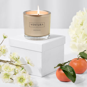 Nouveaux scent